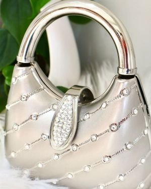 Small lady purse brushed silver in color carry with chain or without